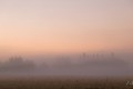 petit matin brumeux à le Taconnière
