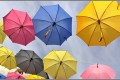 Les parapluies de Cerizay