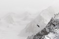 Paysage d'hiver dans les alpes par temps couvert